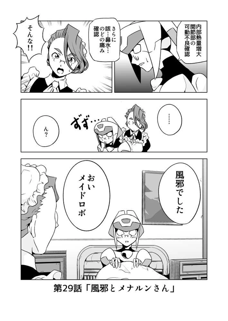 第29話 風邪とメナルンさん