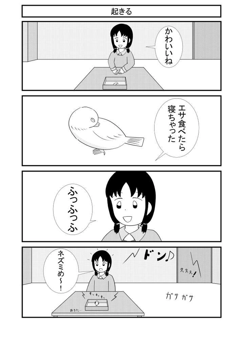 第14話 ネズミめ～