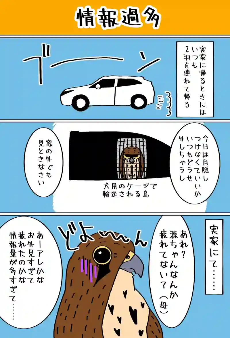 謎の音