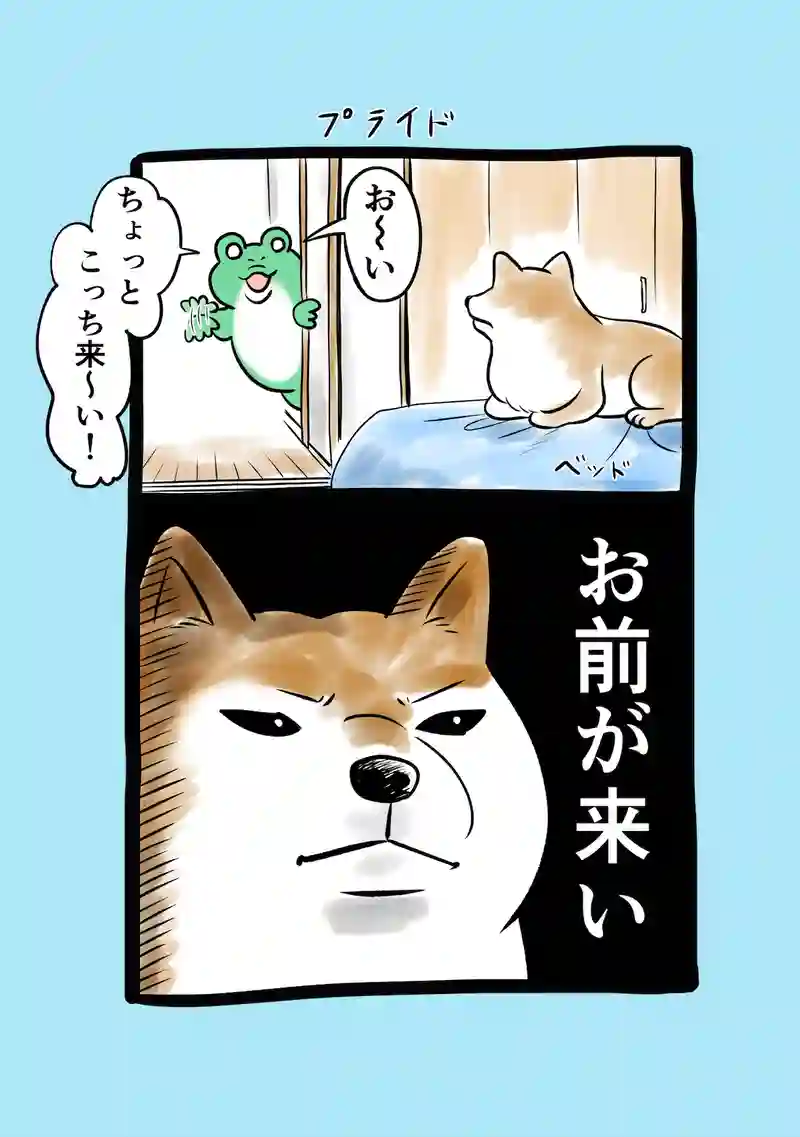 急に来てすぐカエル(298)