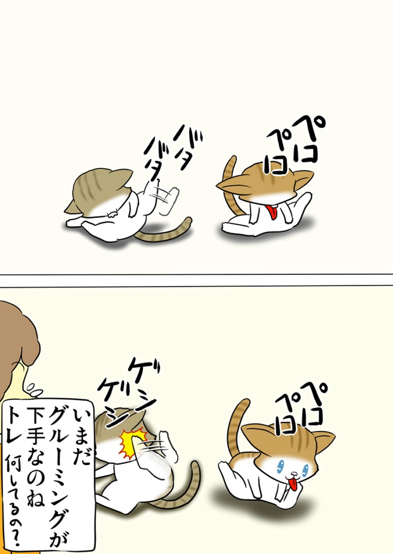 ミーのおもちゃ箱 第1425話～第1428話
