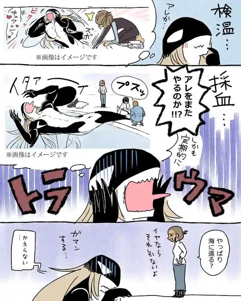 モルトバール９