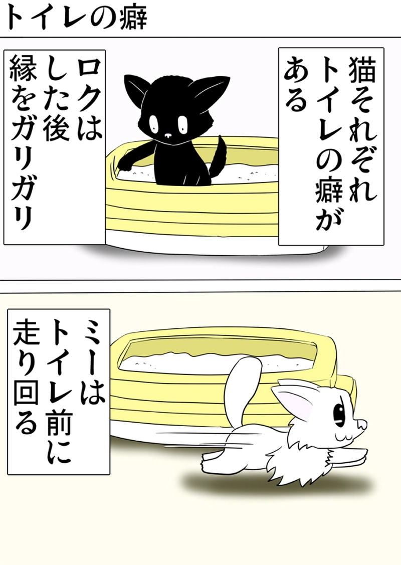 ミーのおもちゃ箱 第1270話～第1275話