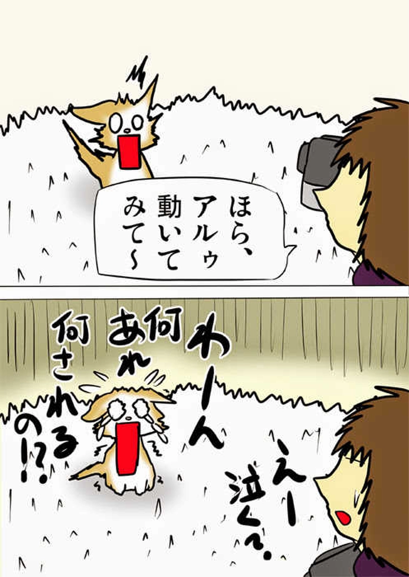 ミーのおもちゃ箱１４３話