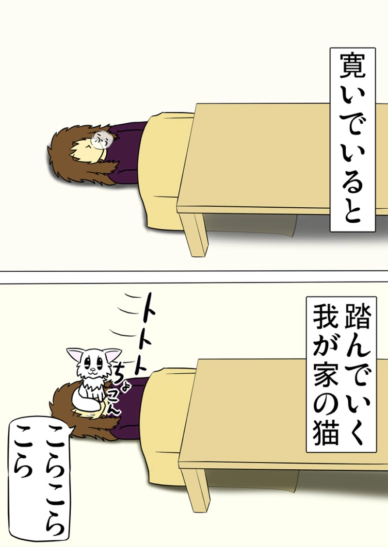 ミーのおもちゃ箱 第1312話～第1317話