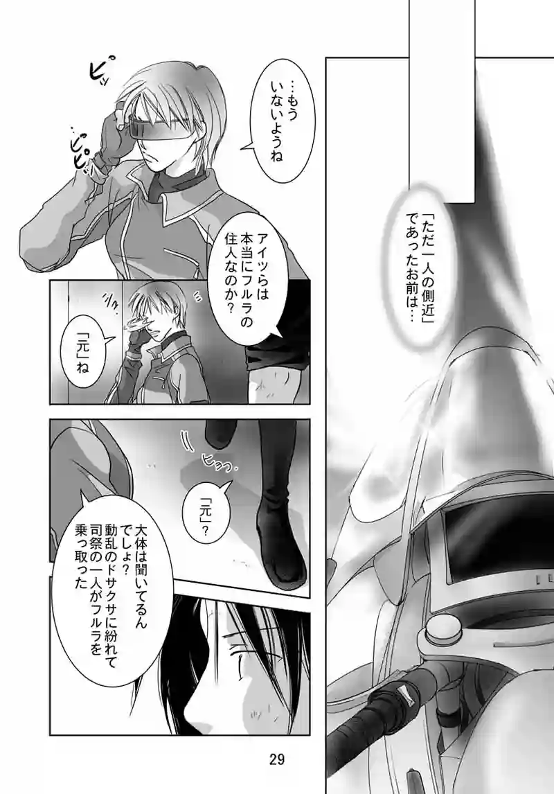 №29（2）