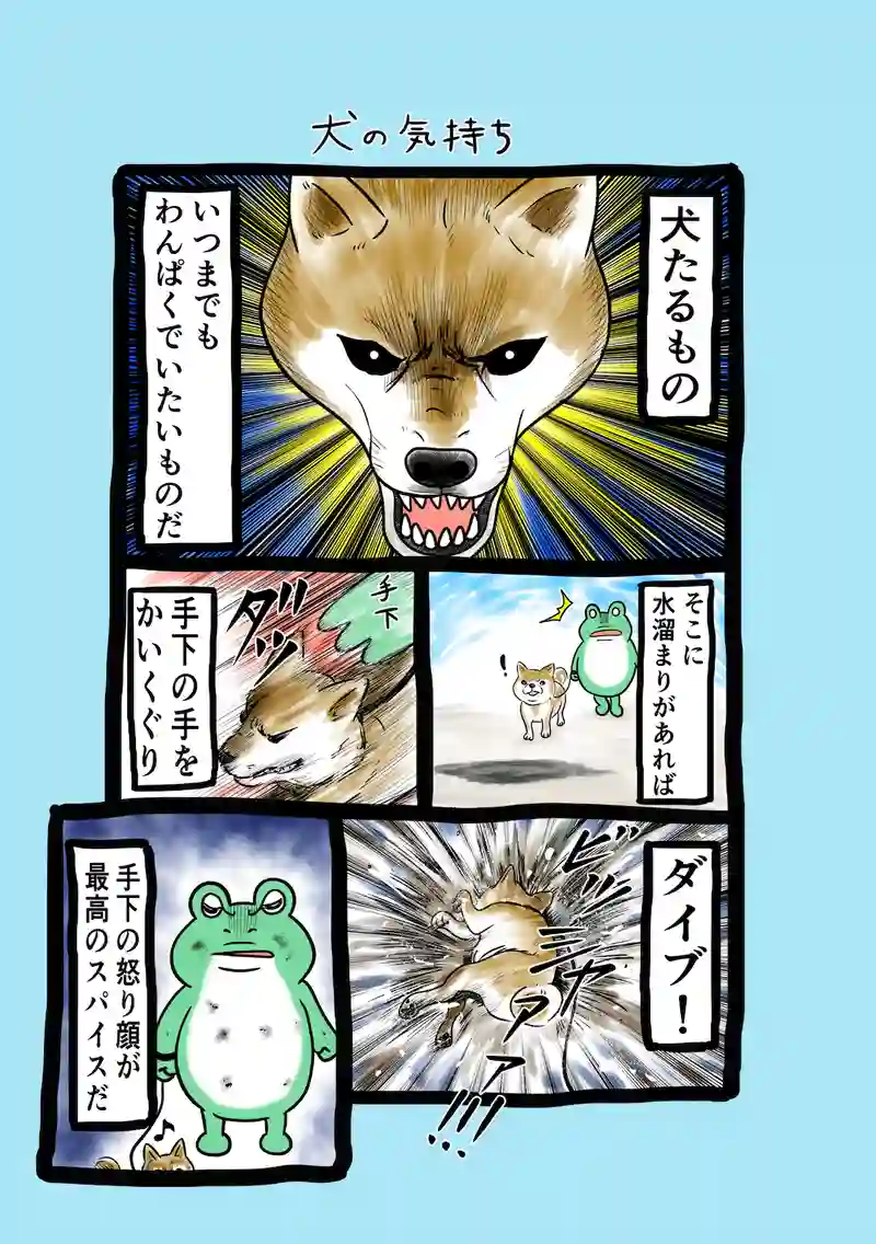 急に来てすぐカエル(151)