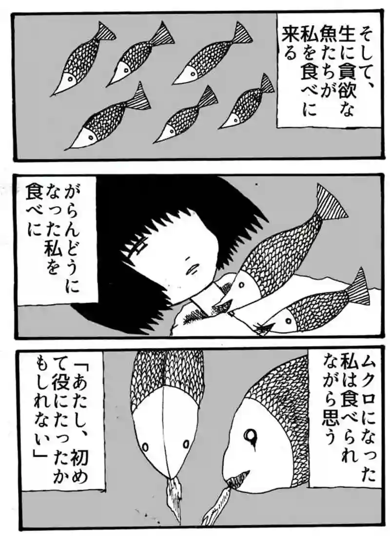 「ただいま」　ムクロジ