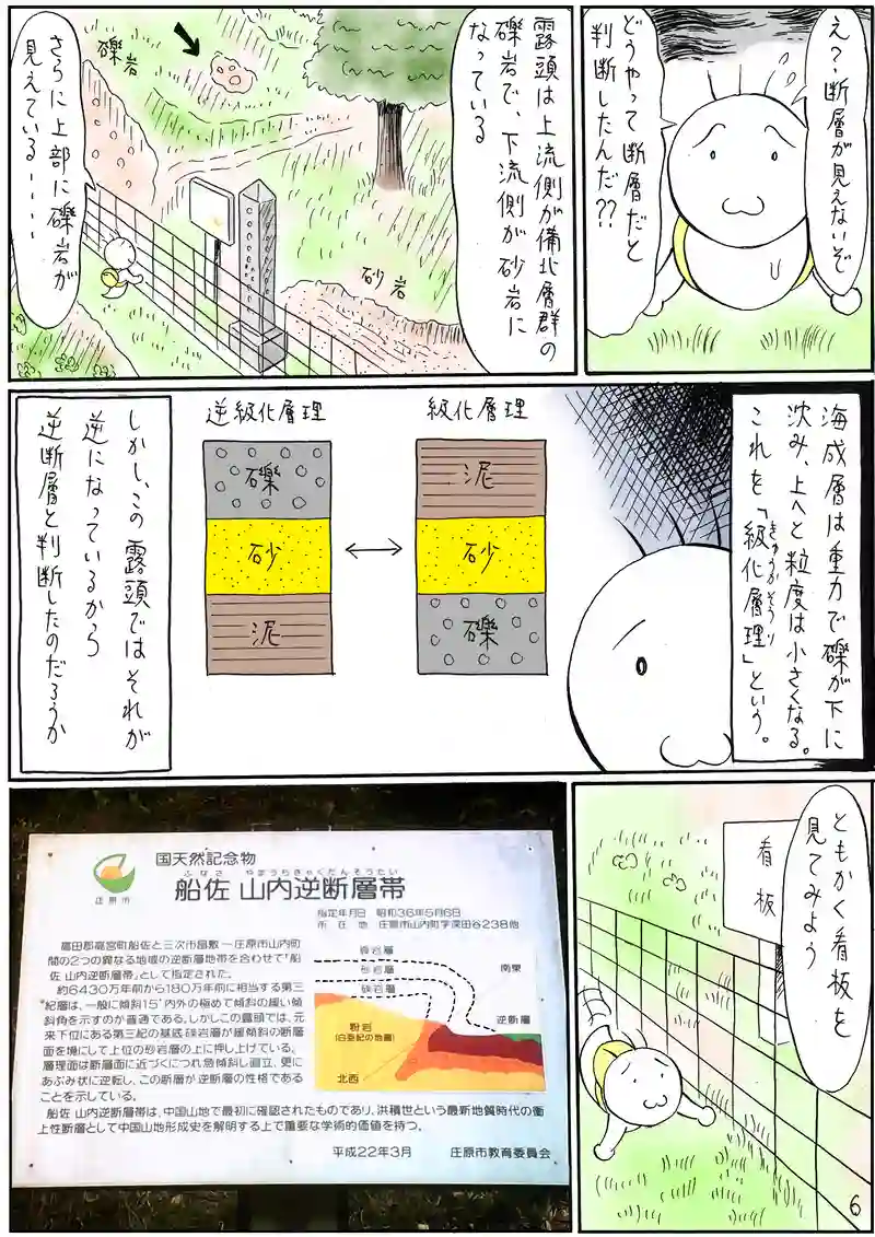 逆断層帯