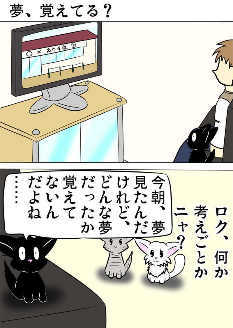 ミーのおもちゃ箱４５１話