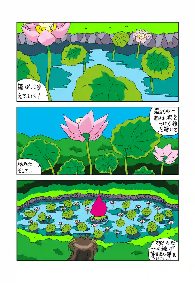 星たちの閃光アナスタシア45回