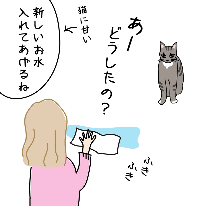 第1話　17才老猫　ニューヨーク闘病日記