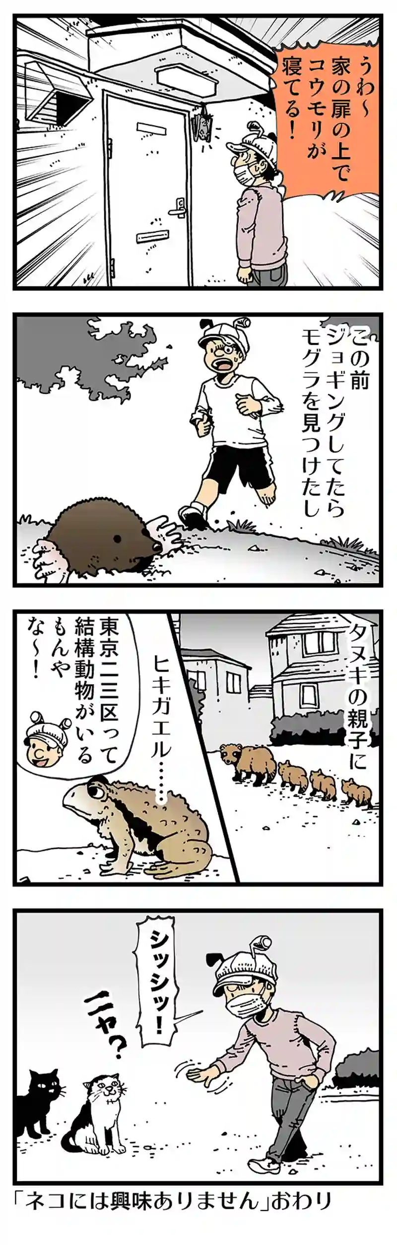 【普通】愉快な動物王国
