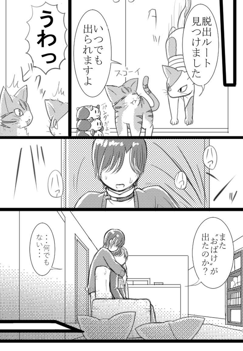 2匹目「キャッツナイト」