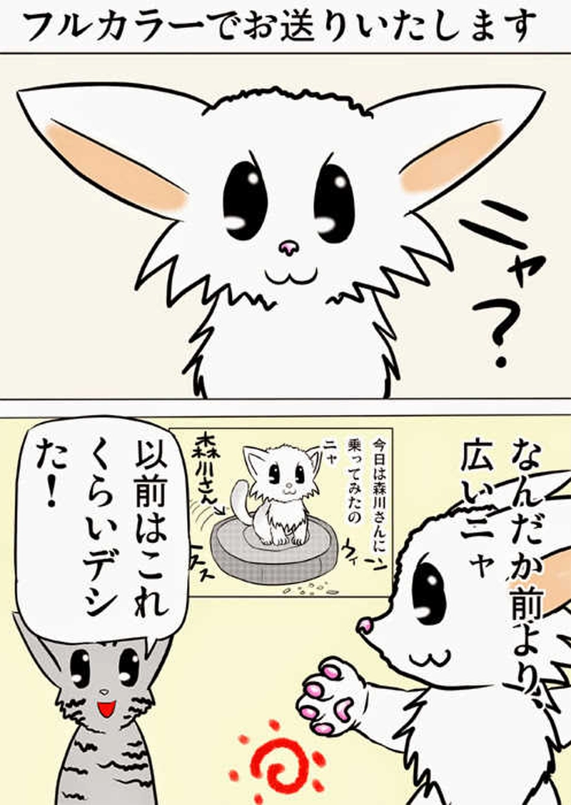 ミーのおもちゃ箱１４１話