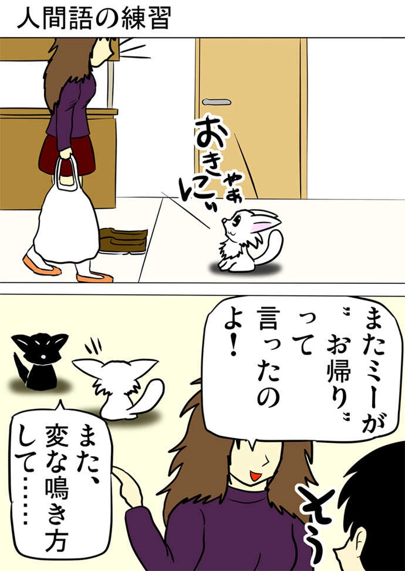 ミーのおもちゃ箱４２５話