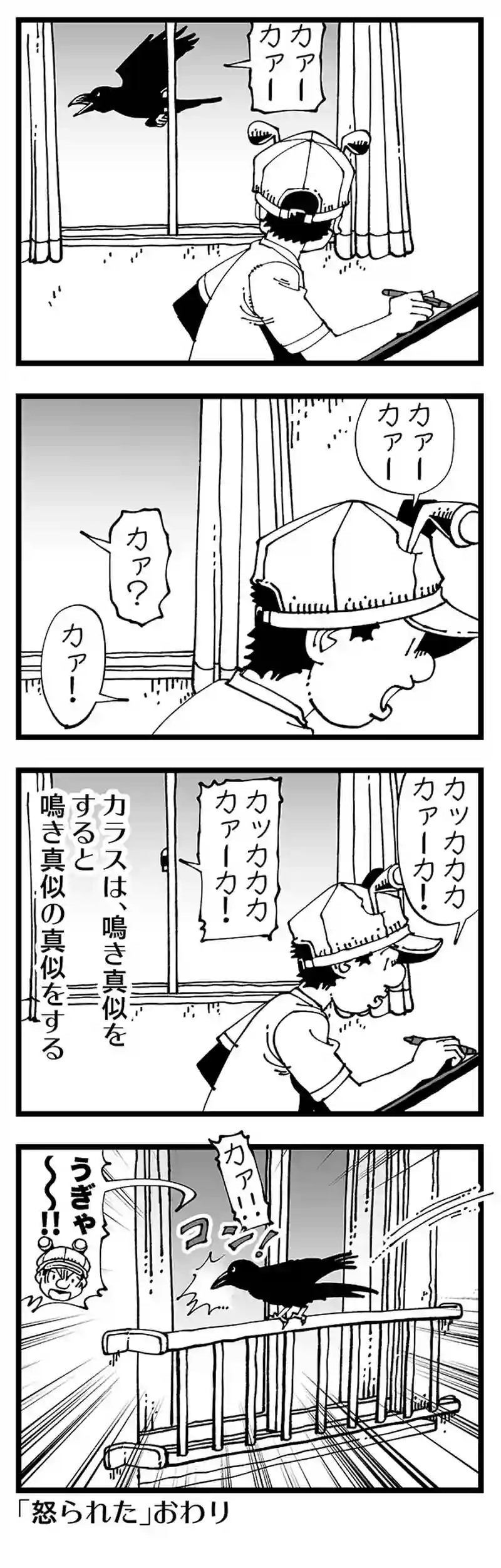 【普通】カラスはマネのマネをする