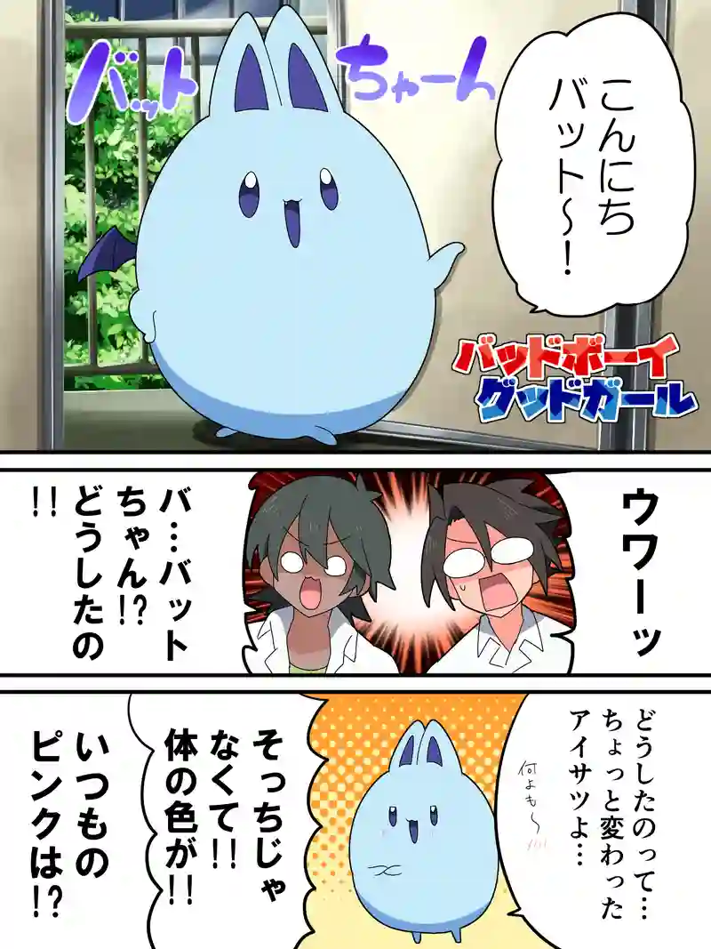 BBGG 20話