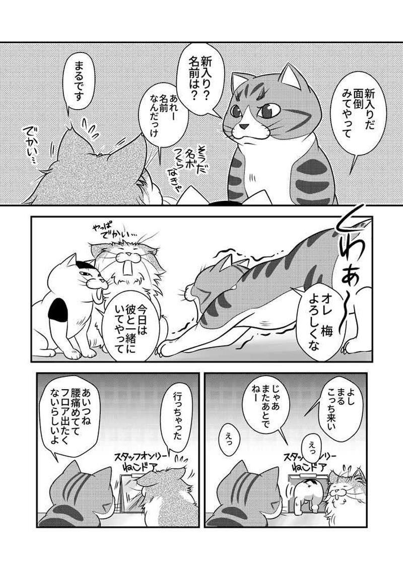 【1】小生、バイトにまいる。