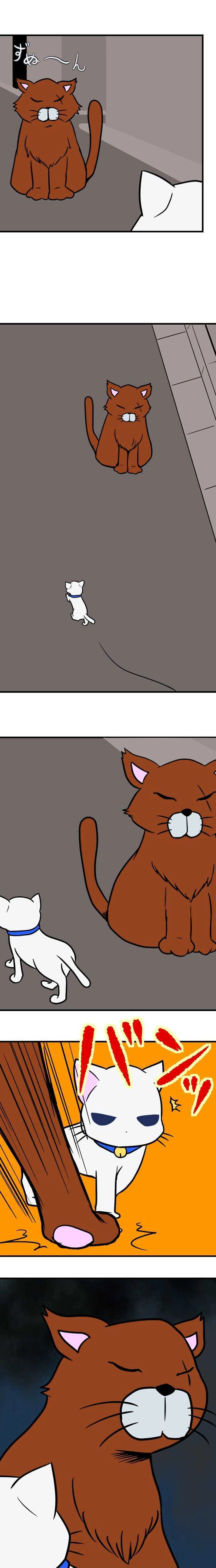 38術目:忍ぶユキちゃん(其の参)