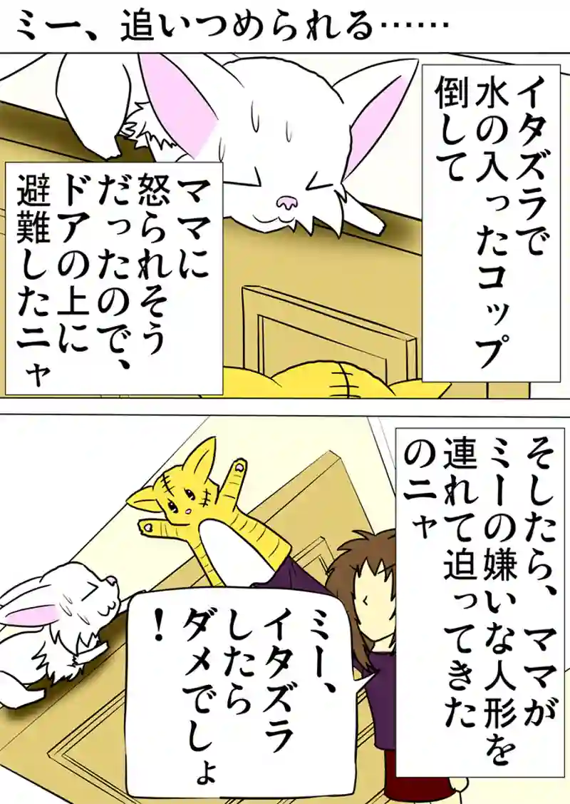 ミーのおもちゃ箱　第969話～第974話