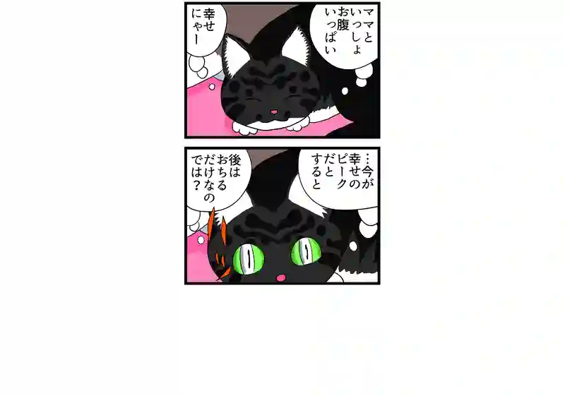 仔猫の悩み