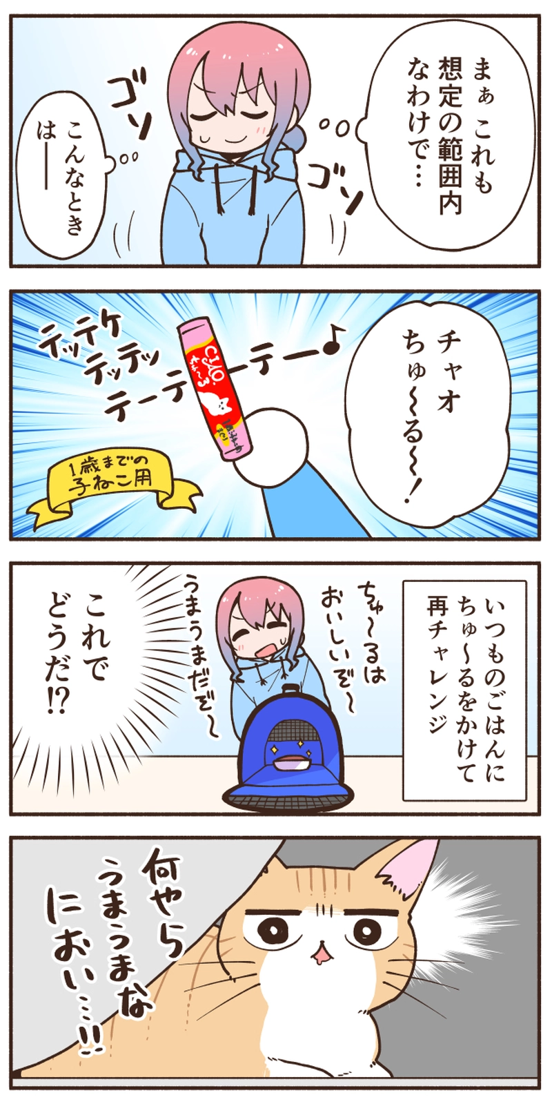 にゃん太と出会った日⑫