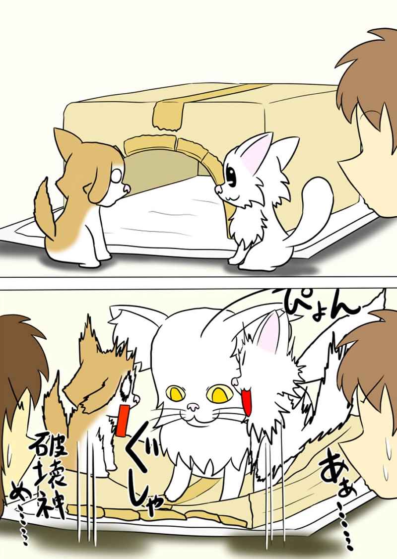 ミーのおもちゃ箱 第1336話～第1341話