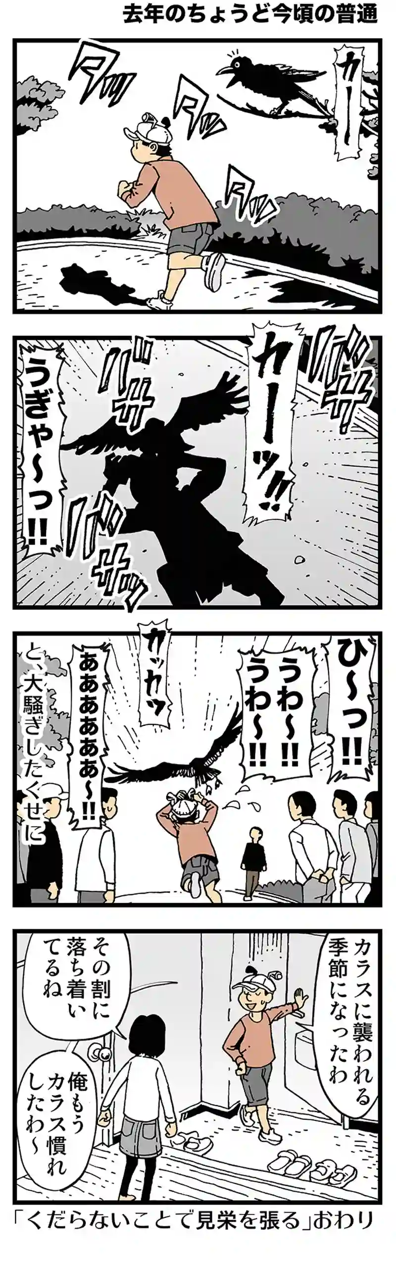 【去年のちょうど今頃の普通】一年中カラスに襲われる