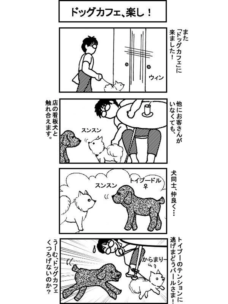 ボクとポメのドタバタ生活、一年間　その22（89～92話）