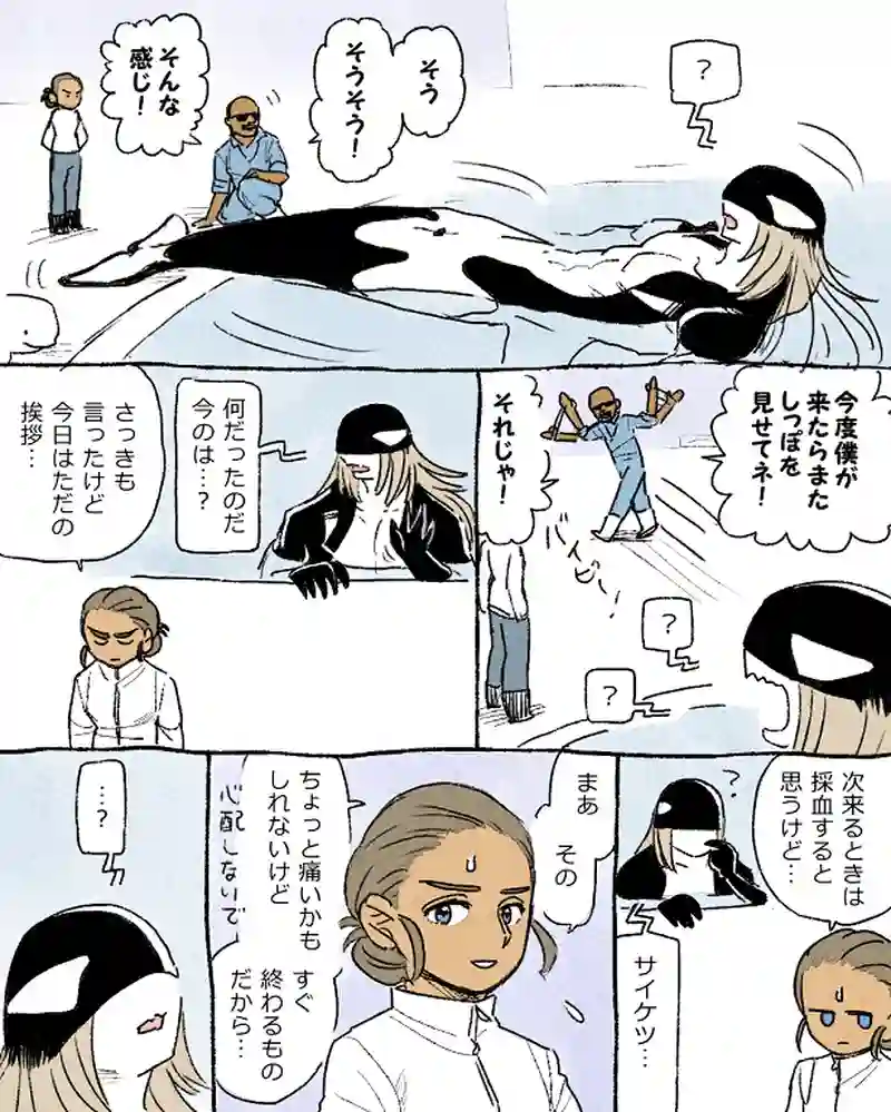 モルトバール８
