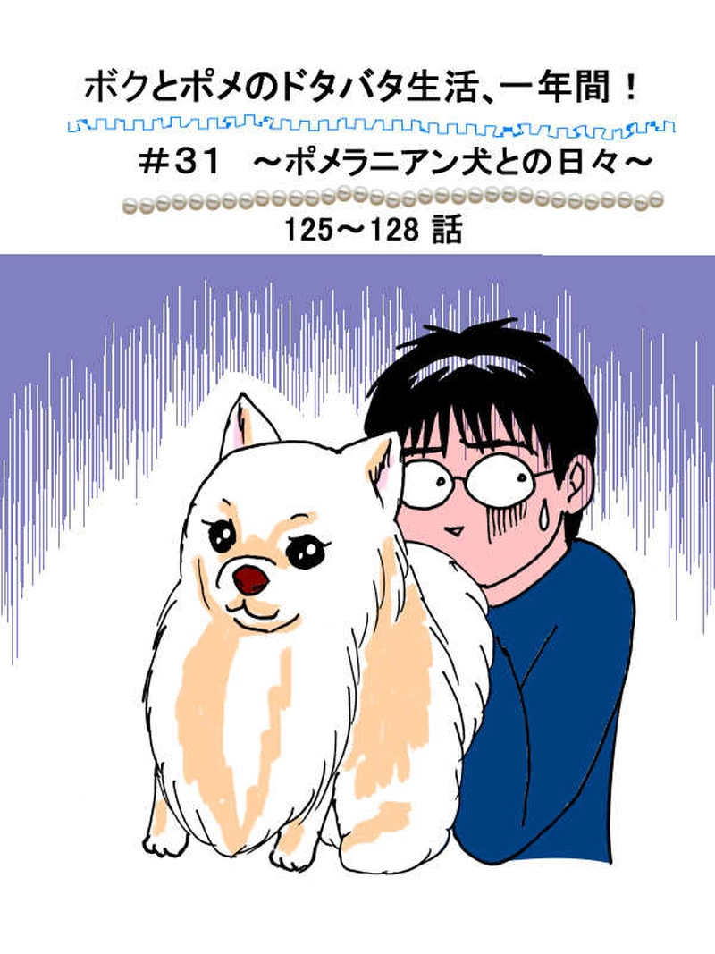 ボクとポメのドタバタ生活、一年間　その31（125～128話）