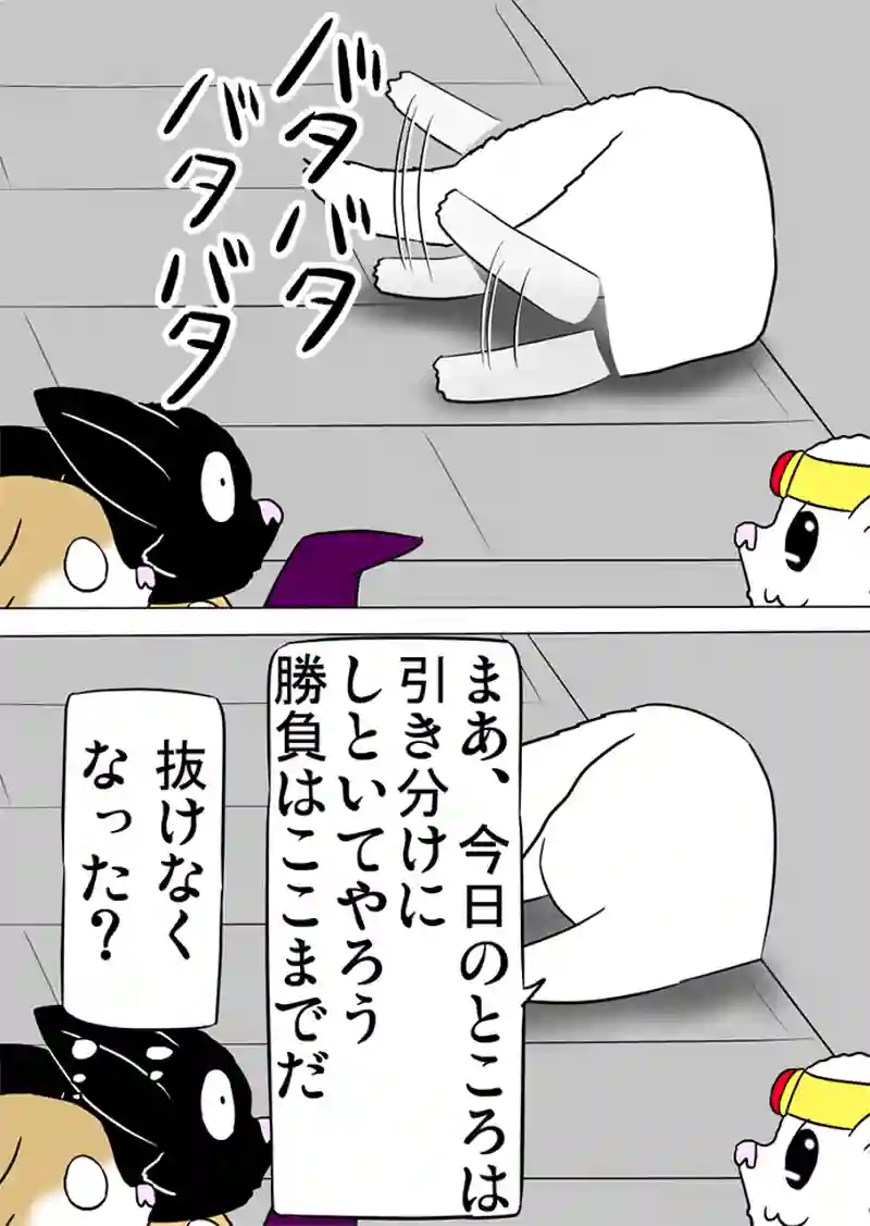 ミーのおもちゃ箱 第1077話～第1082話