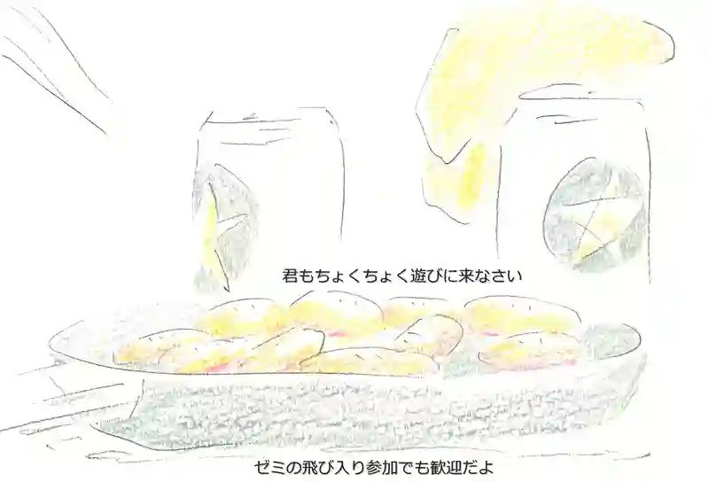 LAP.336 第二次口頭試問