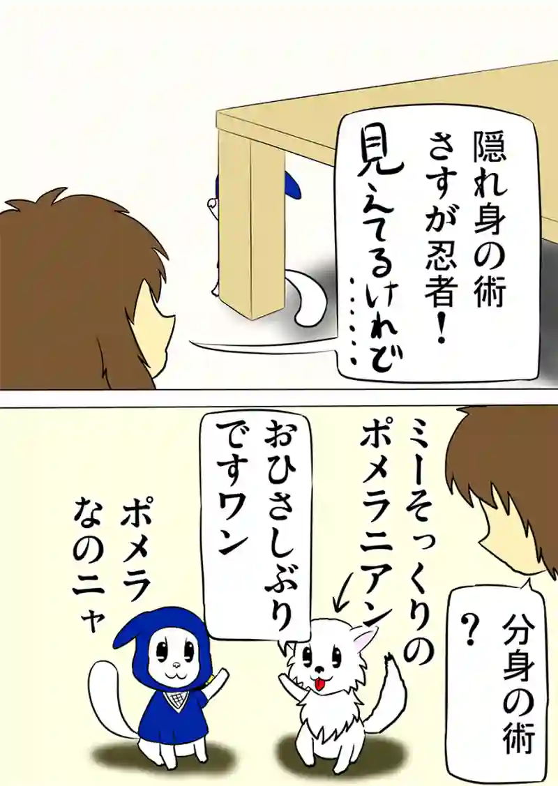 ミーのおもちゃ箱 第1041話～第1046話