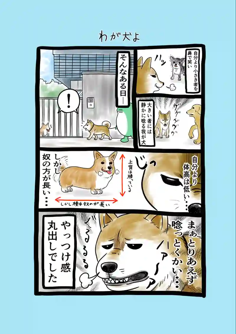 急に来てすぐカエル(169)