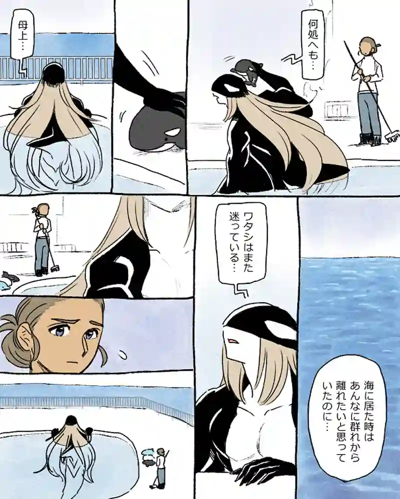 モルトバール９