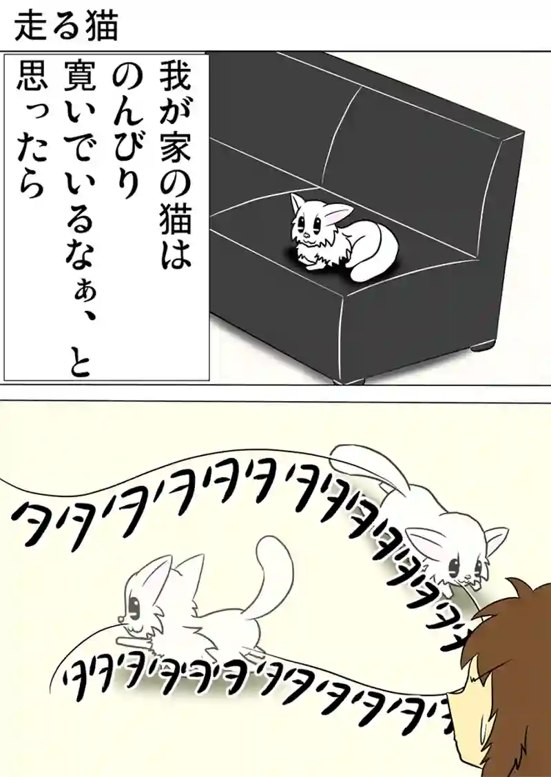 ミーのおもちゃ箱 第1155話～第1160話