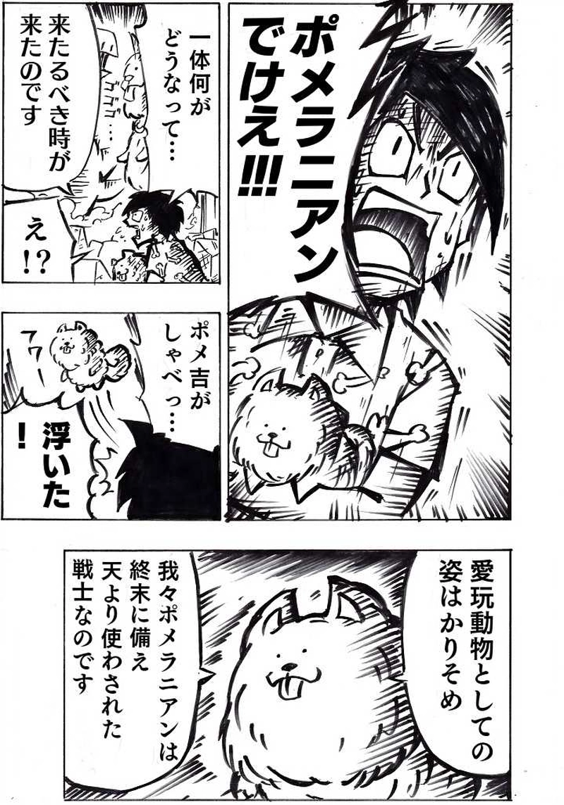 でかポメラニアン