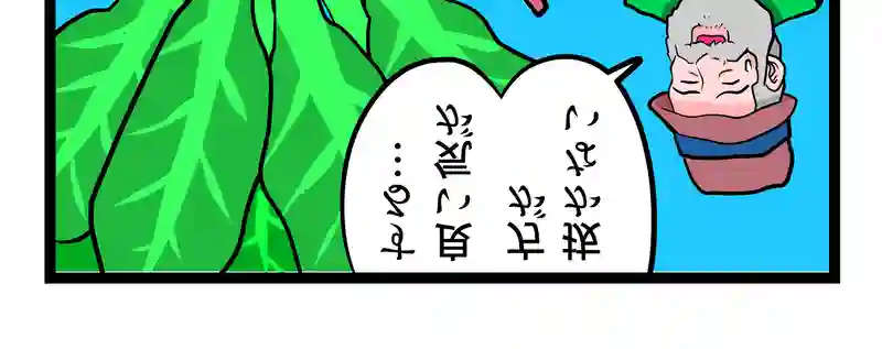 大きなカブ