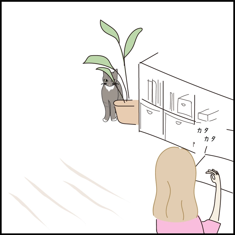 クロニクル1 プロ編　だるまさんがころんだ！のプロ