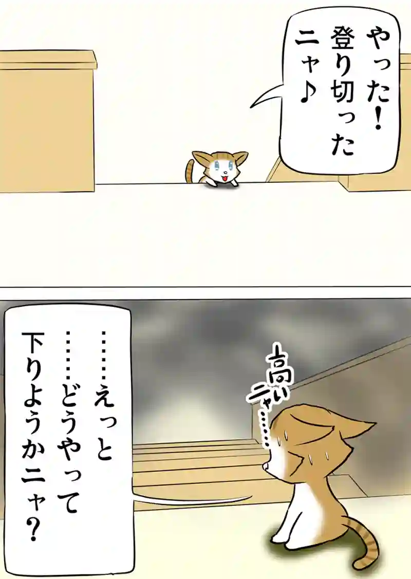 ミーのおもちゃ箱　第945話～第950話