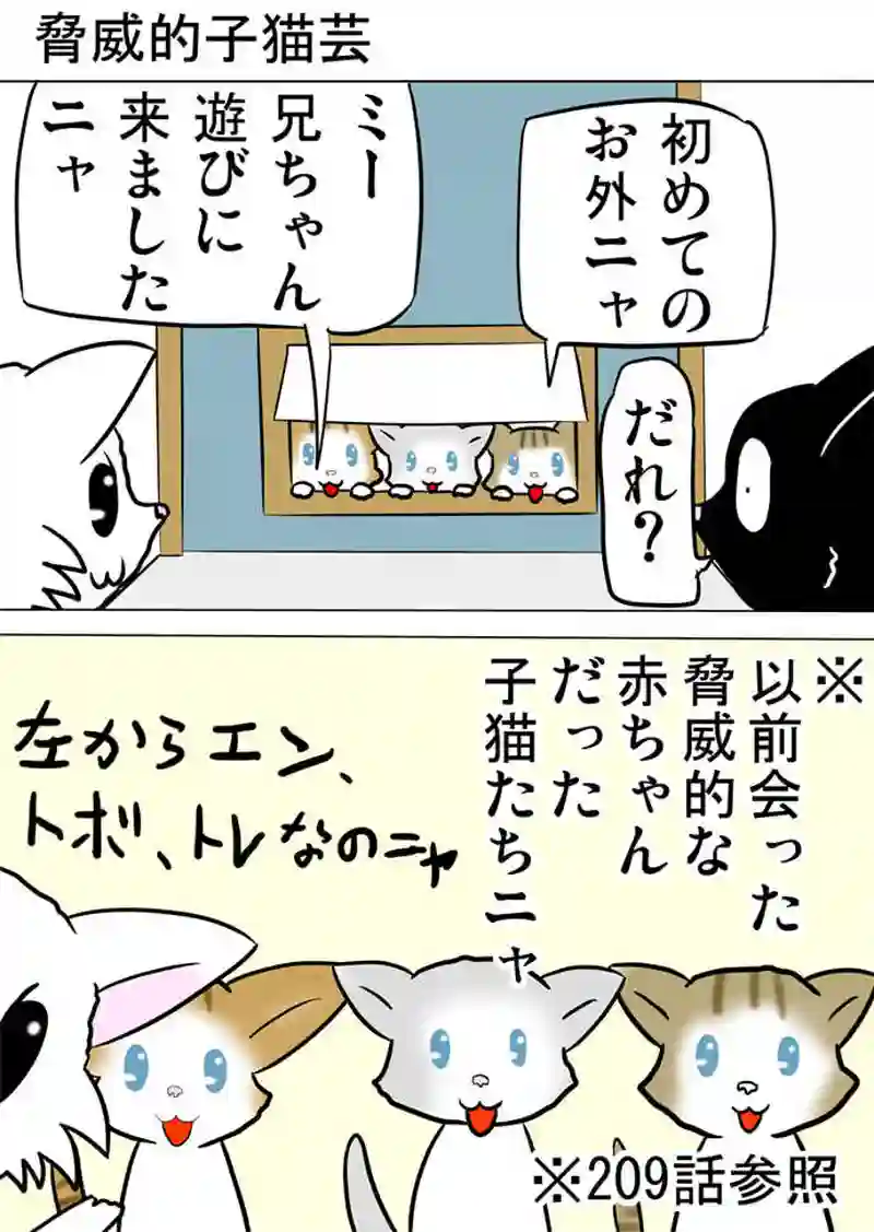 ミーのおもちゃ箱４０２話