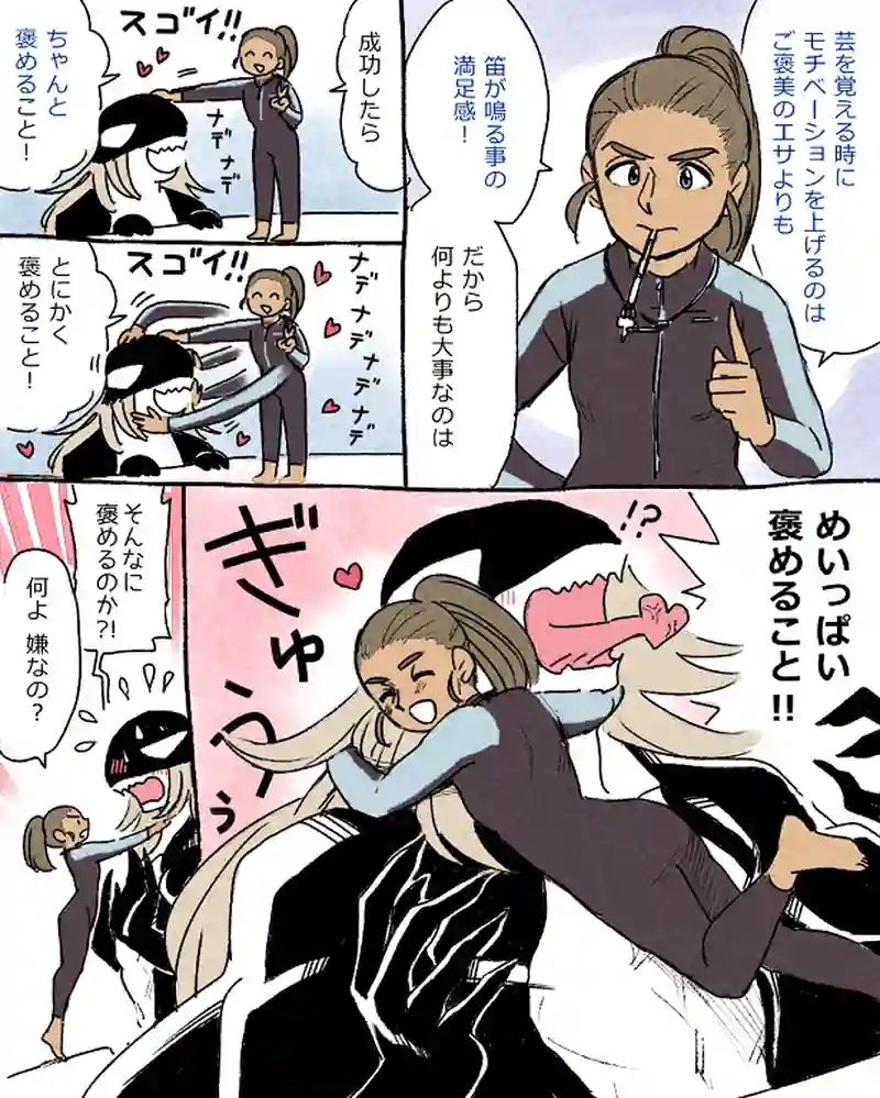 モルトバール１０