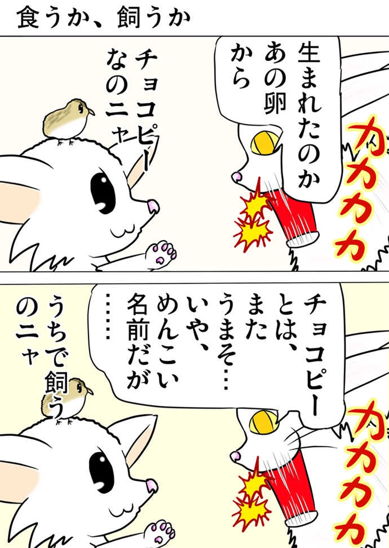 ミーのおもちゃ箱２１７話