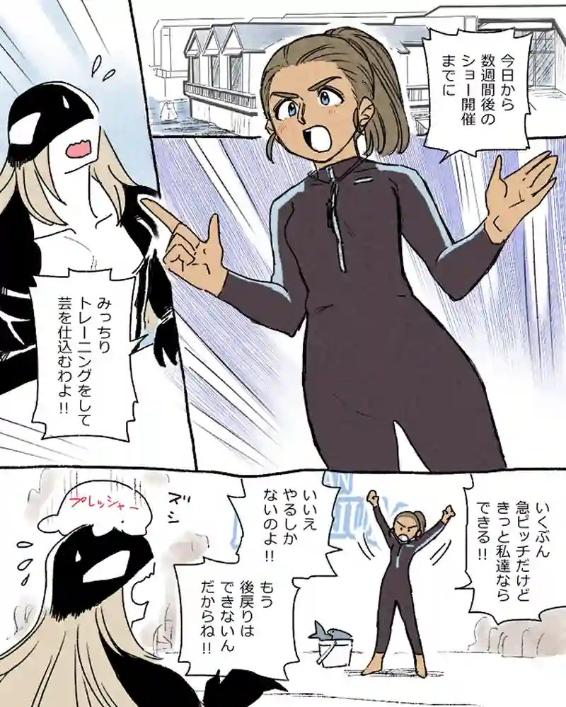 モルトバール１０
