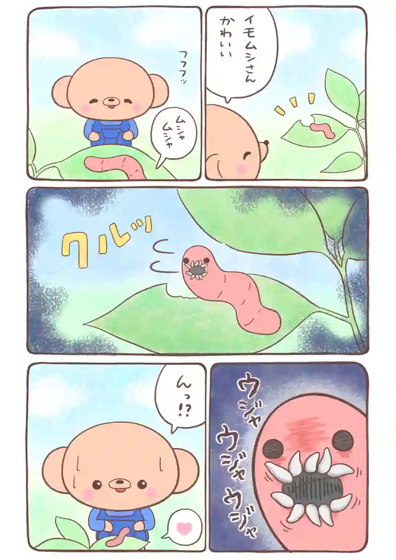 夕焼け色のイモムシとくまちゃん《1》