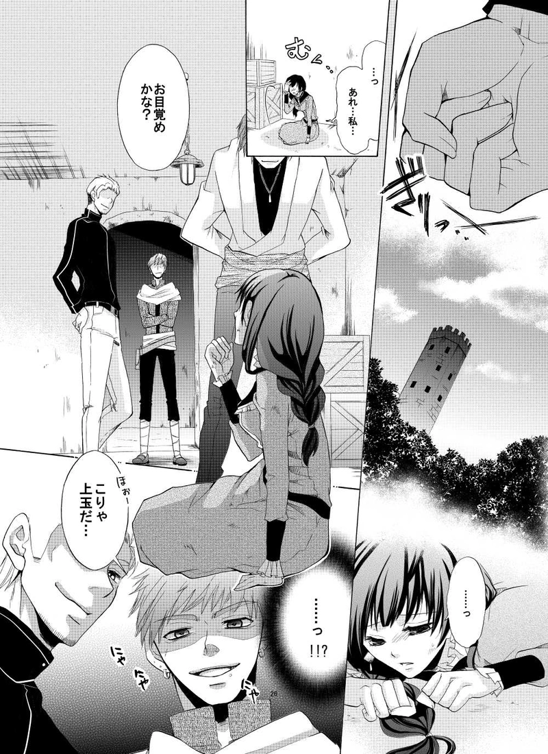 箱入り王女は灯りを夢見る