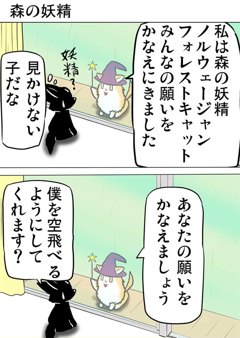 ミーのおもちゃ箱５１０話