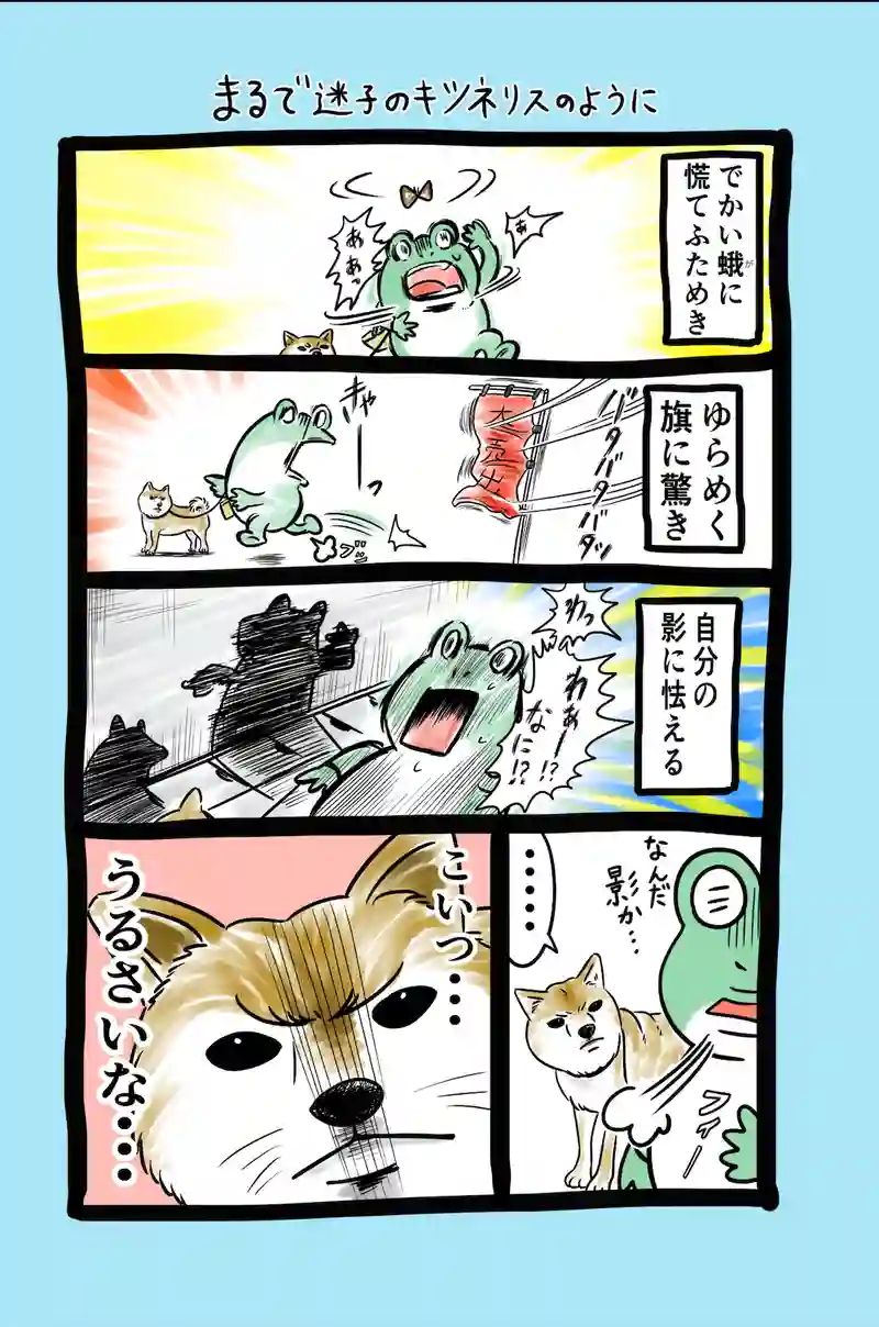 急に来てすぐカエル(75)
